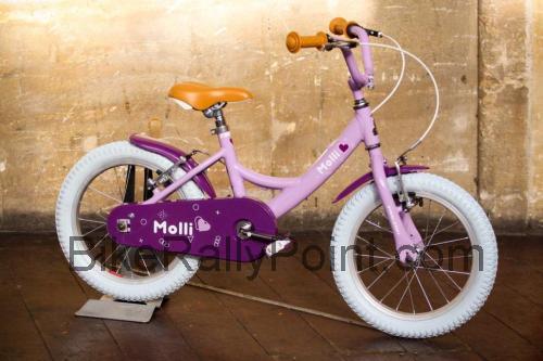 Raleigh Molli fiche technique et avis